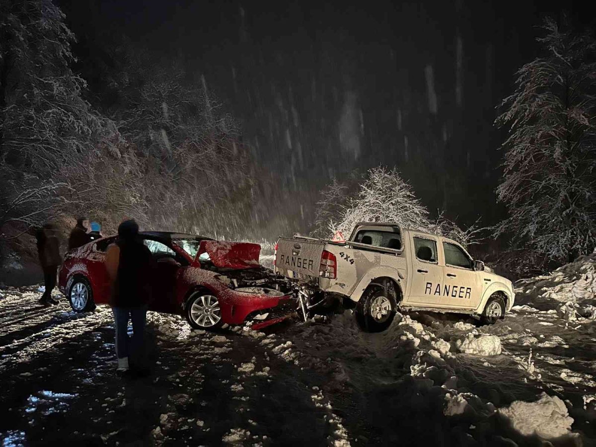 Artvin de aniden bastıran kar, kazalara neden oldu #3