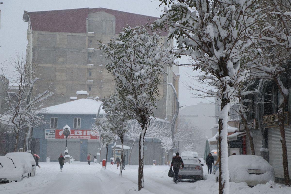 Van da 3 ilçede kar yağışı nedeni ile okullar tatil edildi #9