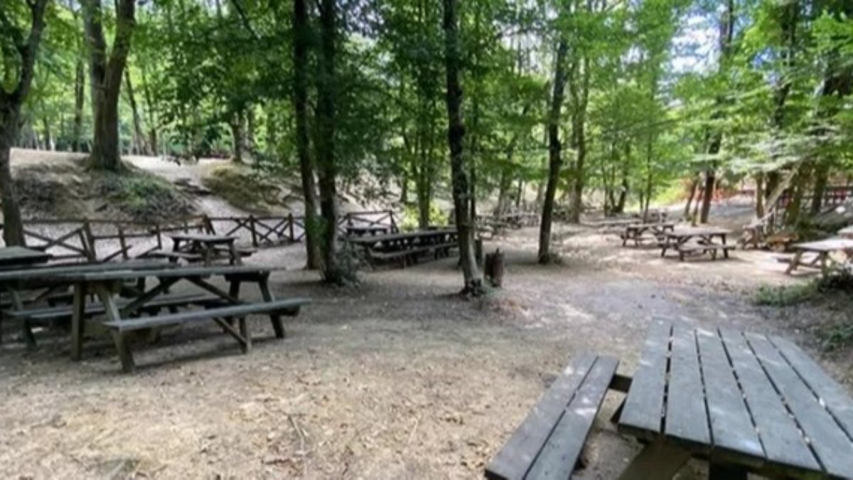 Gaziantep'te ormanda piknik yasaklandı