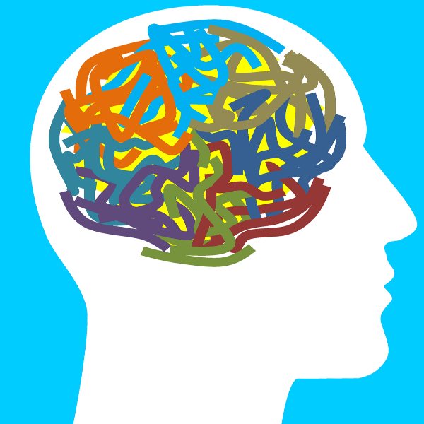 What is paramnesia syndrome