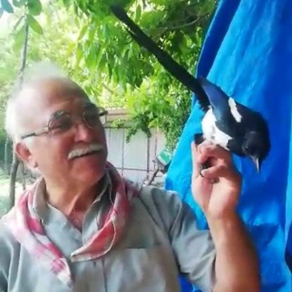 Karabük'te, yumurtaları yiyen kuşa güldüren tembih #1