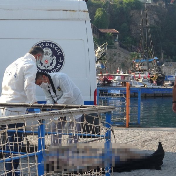 Antalya'da balıkçılar caretta caretta sandı: Ceset çıktı