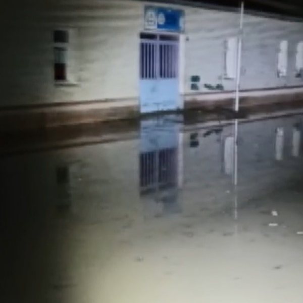 Erzurum'daki selde 1 ev ve okul sular altında kaldı