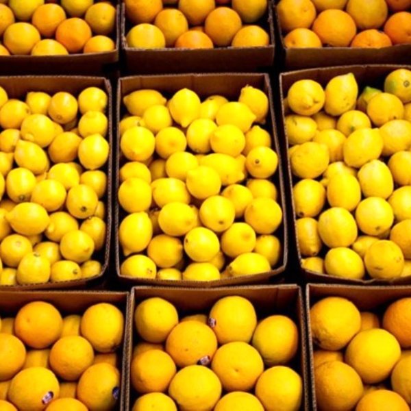 Limon ihracatında ön izin şartı kaldırıldı