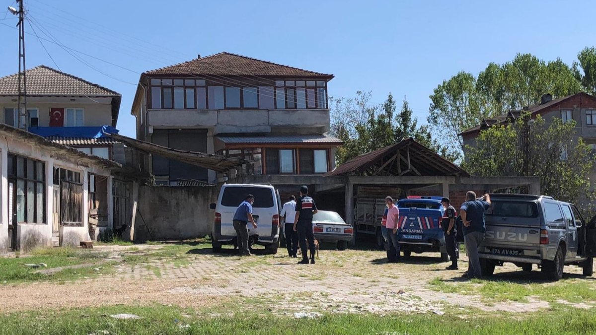 Zonguldak'ta CHP'li belediye, topladığı köpekleri Bartın'a bıraktı