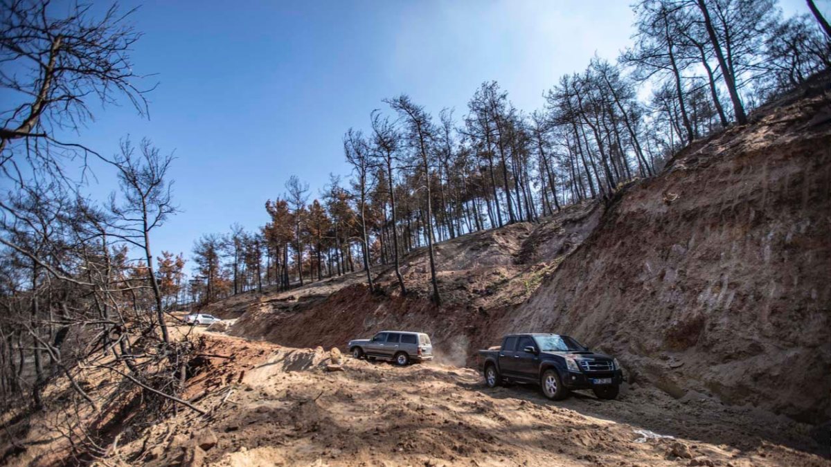 Manisa Ahmetli'deki orman yangınında zarar gören alana ağaçlandırma çalışması yapılacak