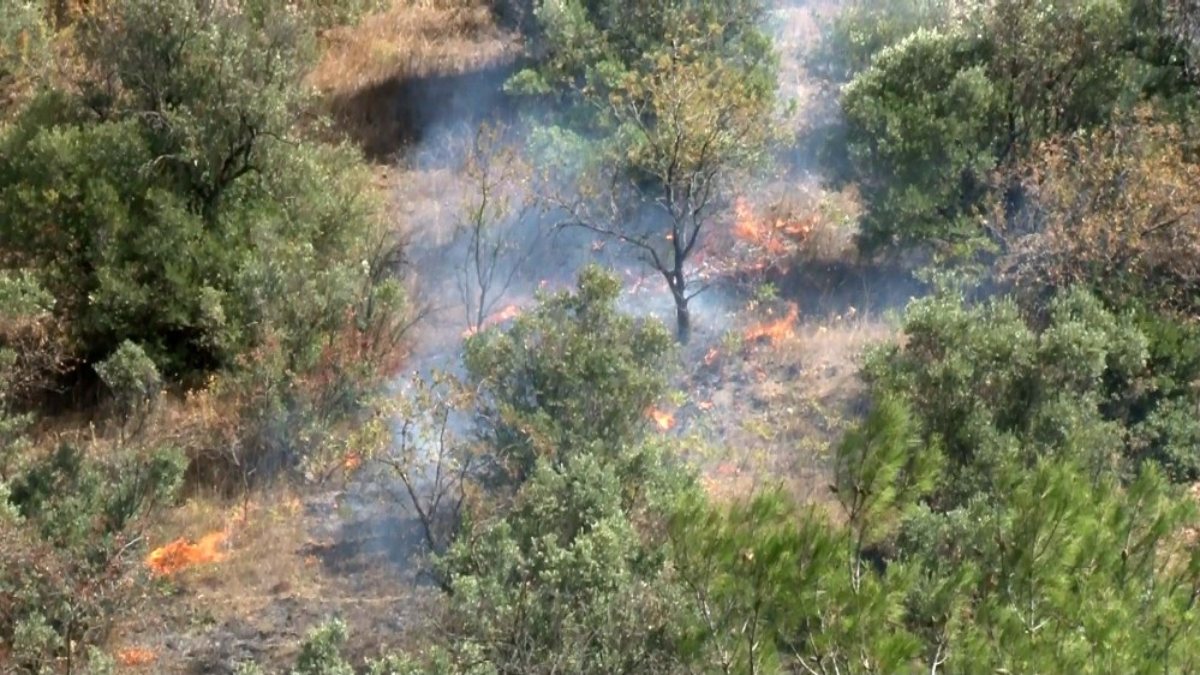 Bursa’da arıları tütsülerken 2 hektarlık alanı yaktı