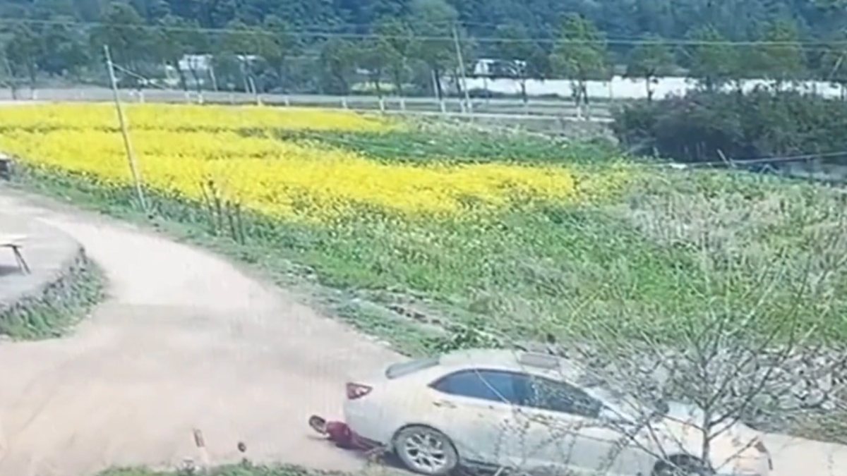 Careless driver dragged old woman under car in China