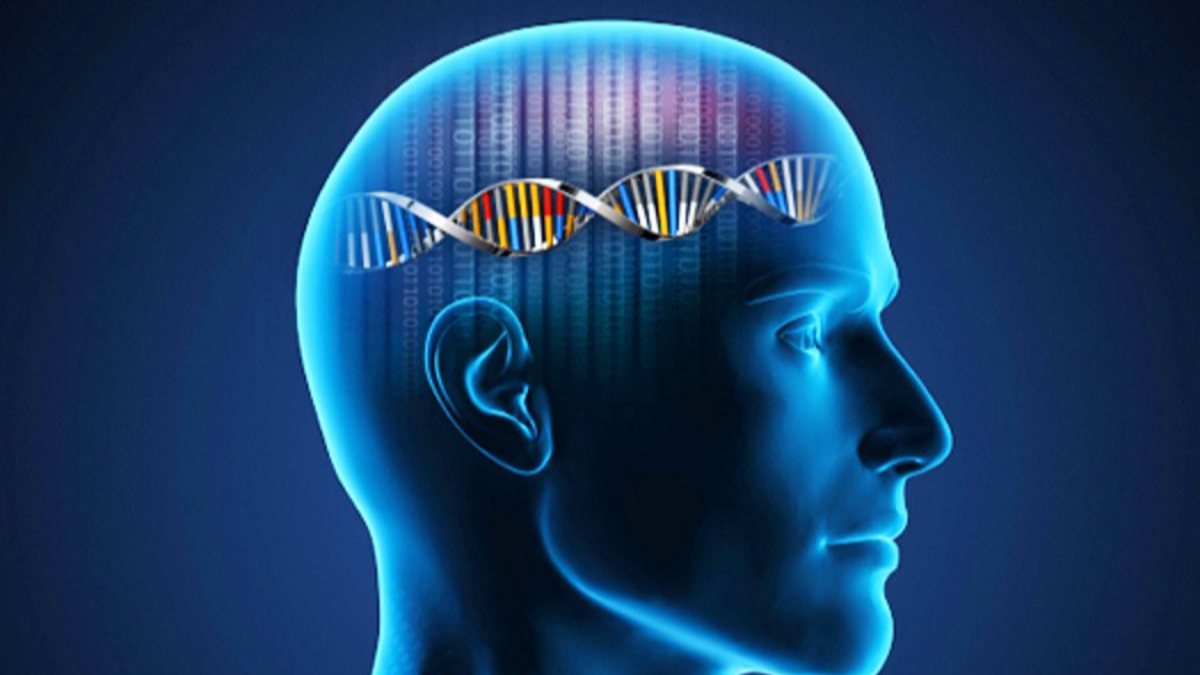İnsan beyninde, ölümden sonra harekete geçen genler bulundu
