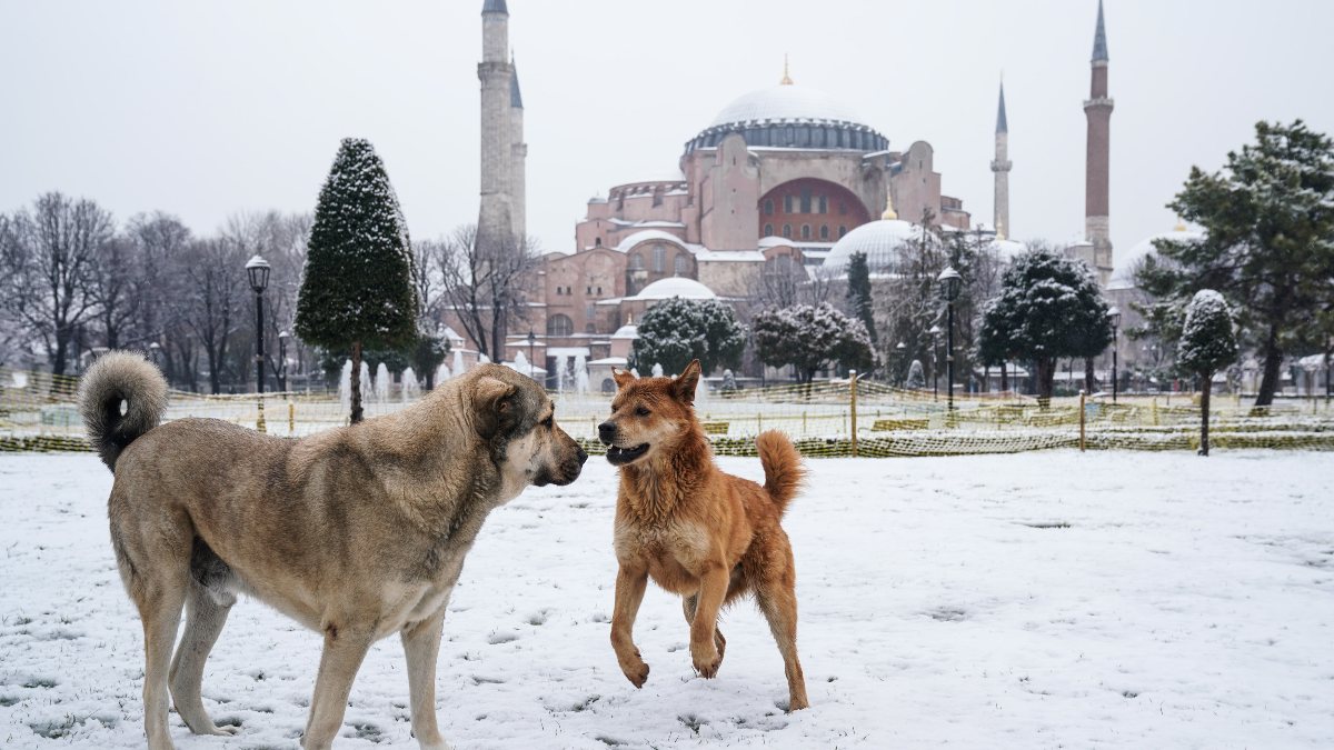 Sultanahmet Meydanı'nın karlı görüntüleri kartpostalı andırdı