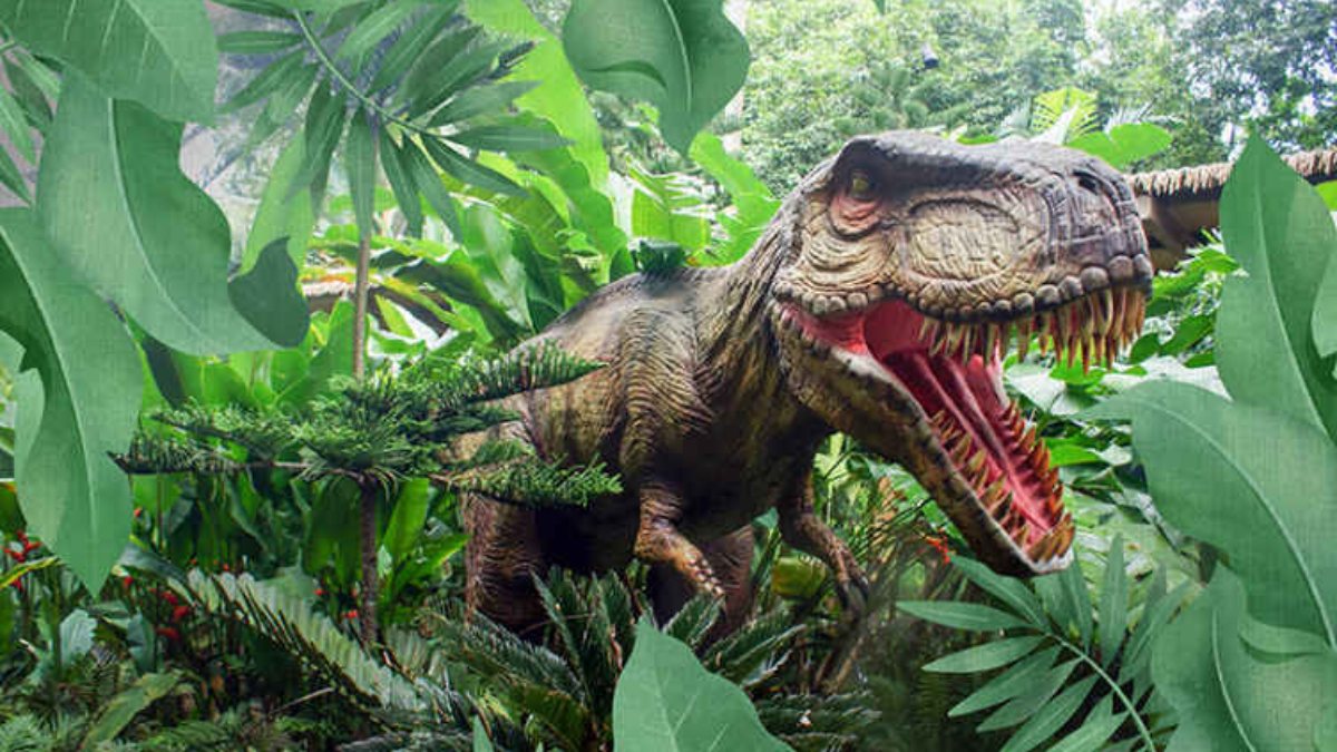 2,5 milyar T-rex dinozor türü yaşamış olduğu tahmin ediliyor