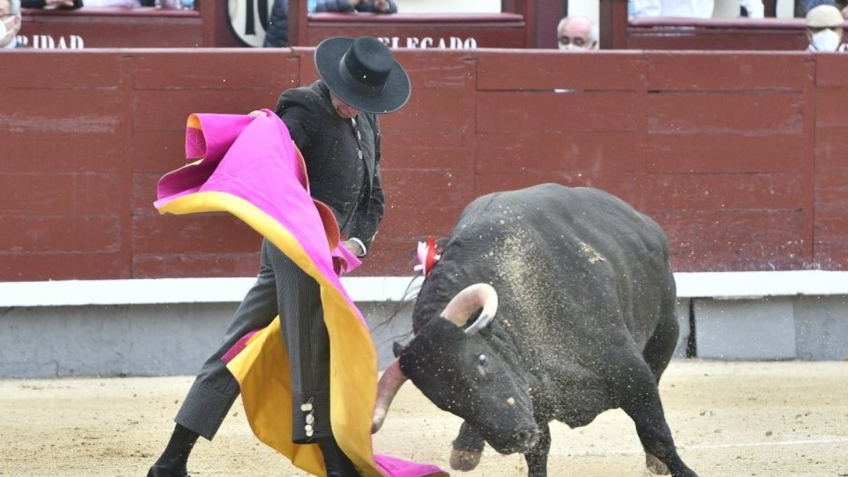 First bullfight held in Spain since the beginning of the epidemic