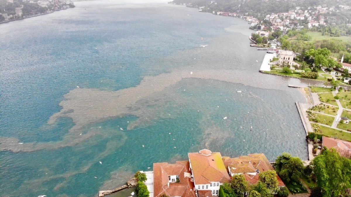 İstanbul Boğazı'nda suyun rengi değişti