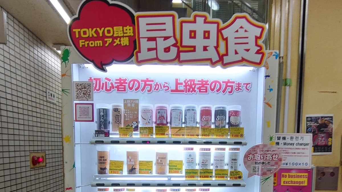 Vending machine selling snacks bugs in japan