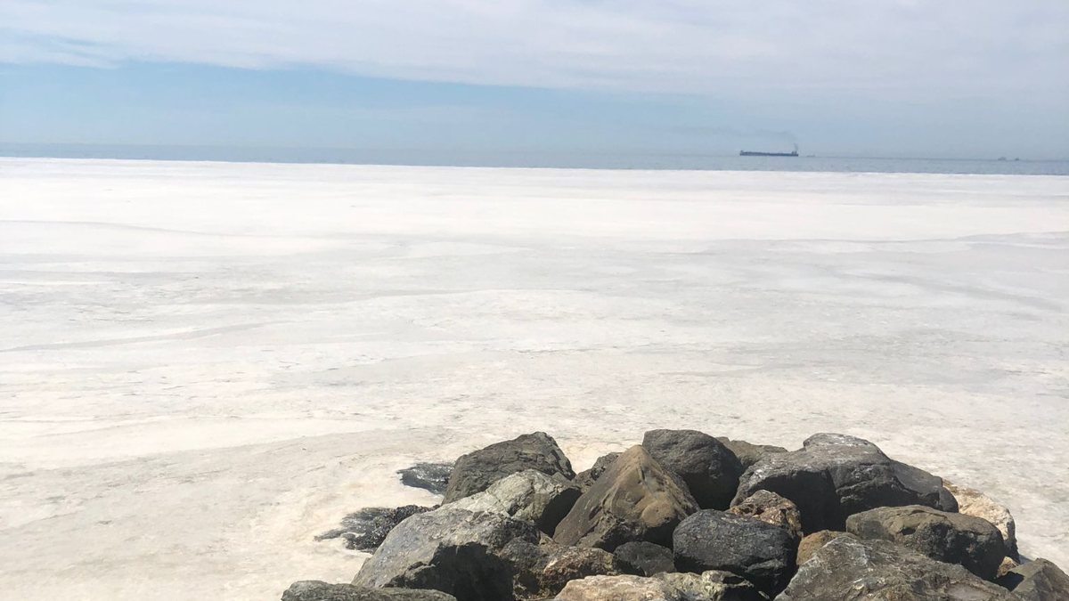 Marmara Denizi Ndeki Deniz Salyalari Neredeyse Tum Yuzeyi Kapladi