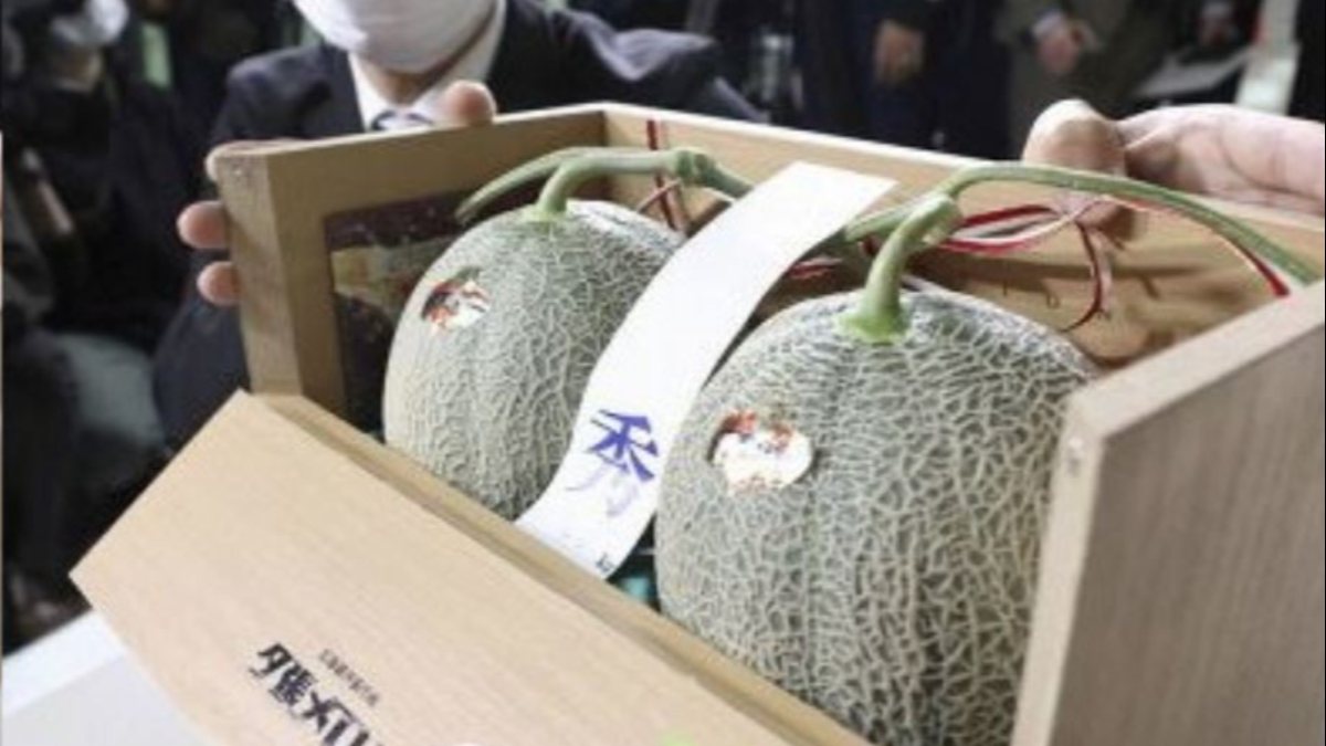 2 Yubari melons sold in Japan for approximately 208 thousand liras