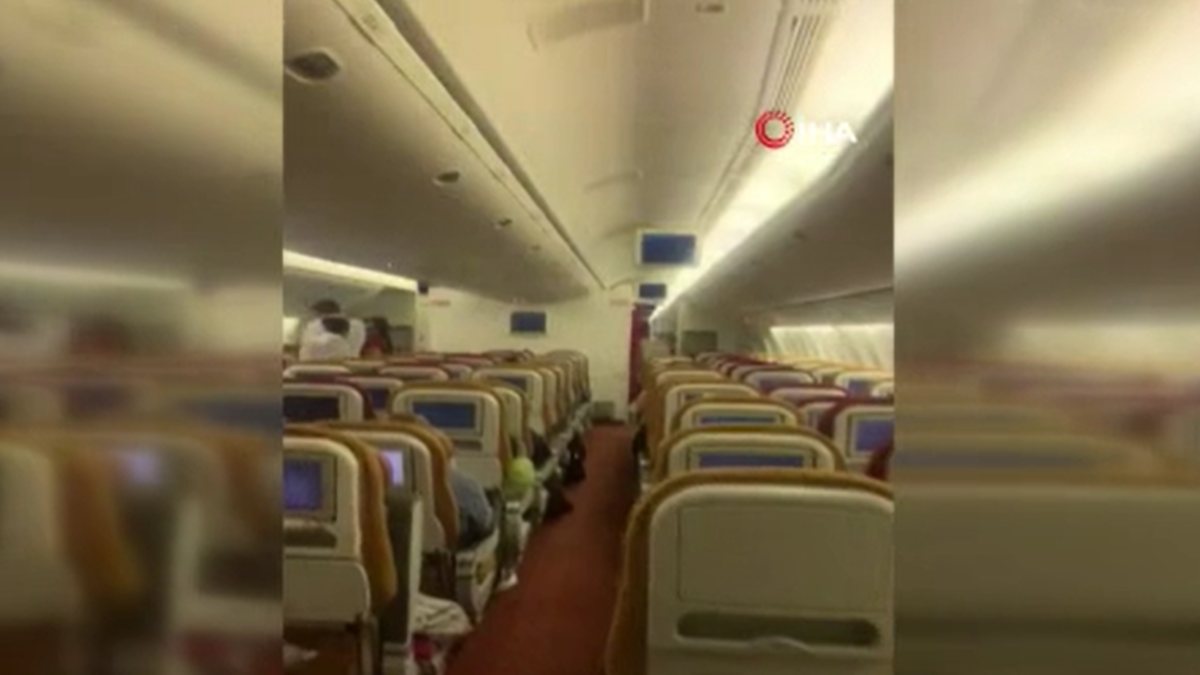 Bat enters passenger plane in India