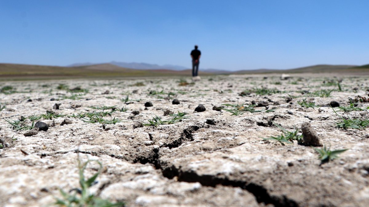 Van'da kuraklık, çiftçilerin endişesini artırdı
