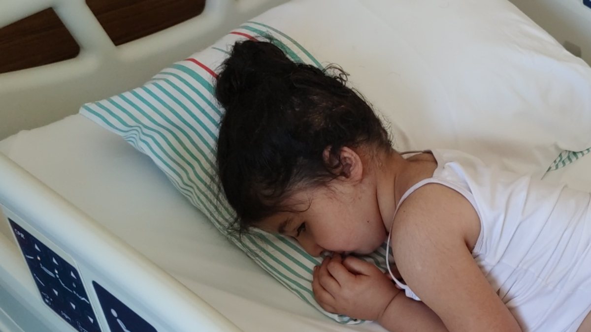 Elazığ'daki 5 yaşındaki kız, Rottweiler saldırısına uğradı