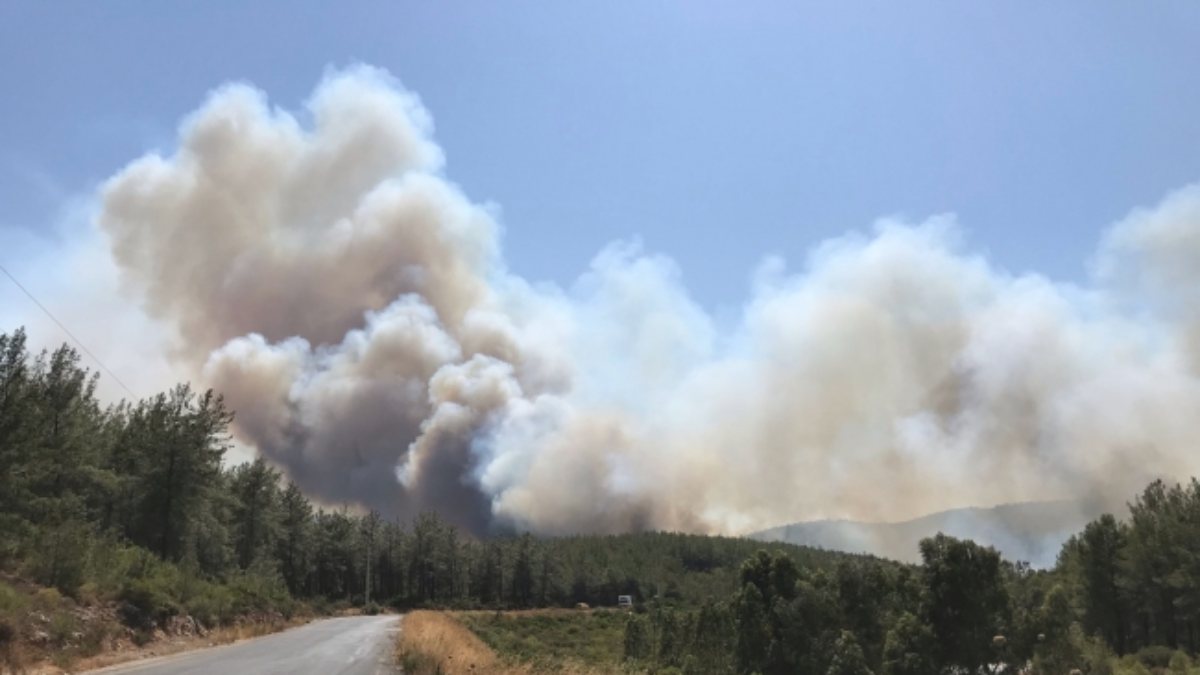 Bodrum ve Didim'de orman yangını çıktı