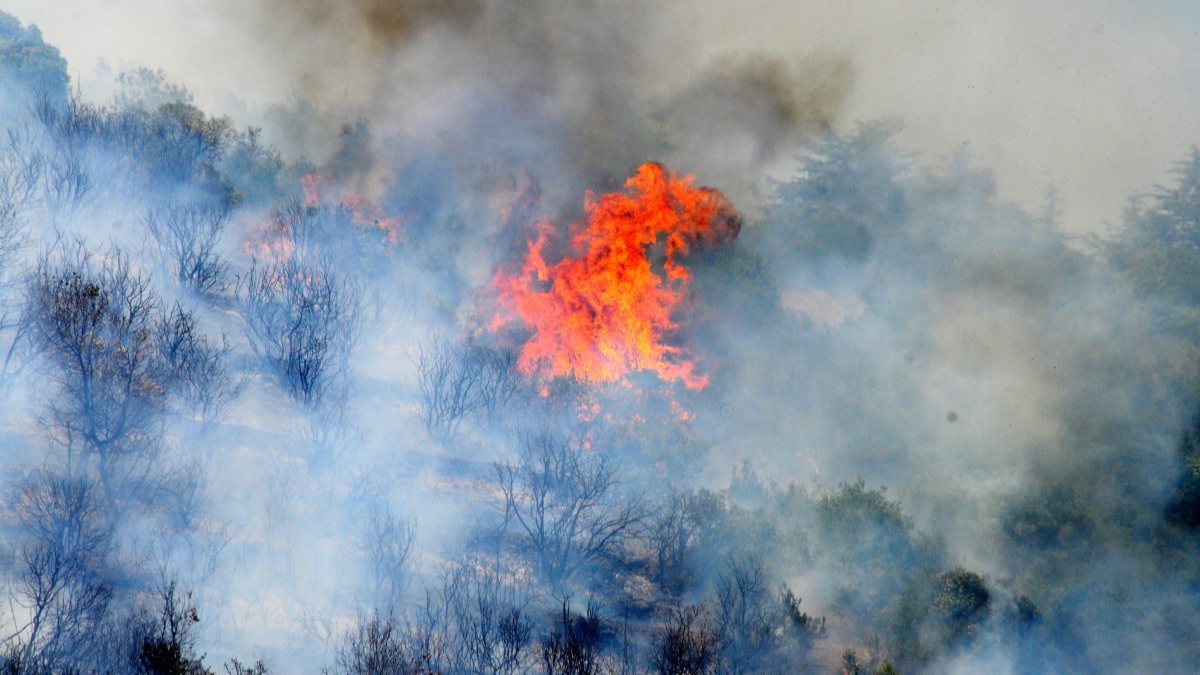 Kocaeli'deki 30 dönüm ormanlık alanda yangın