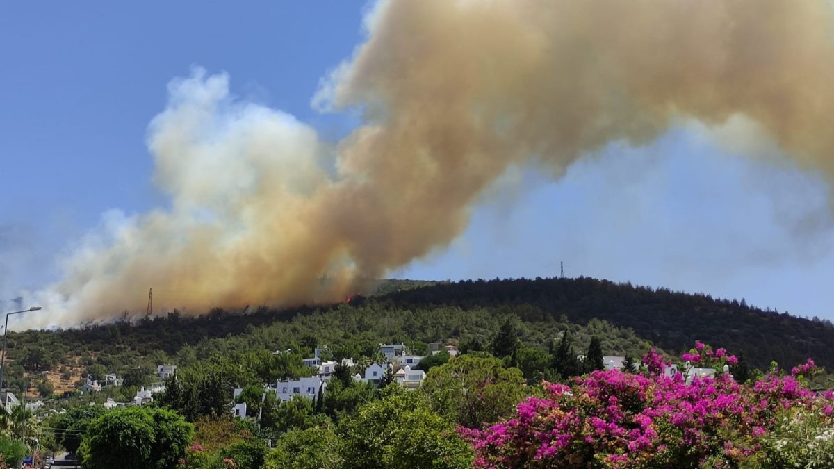 Bodrum'da makilik ve ormanlık alanda yangın