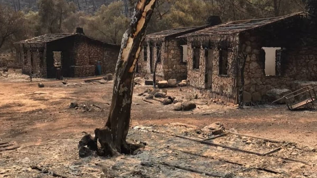 mandira filozofu nun cekildigi yer yanginda kule dondu mandira filozofu nun cekildigi yer yanginda kule dondu