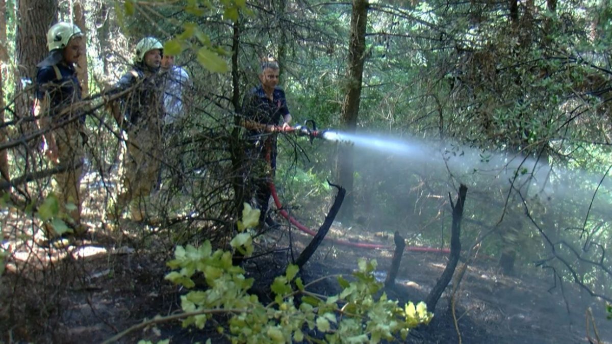 Aydos Ormanı’nda çıkan yangın söndürüldü 