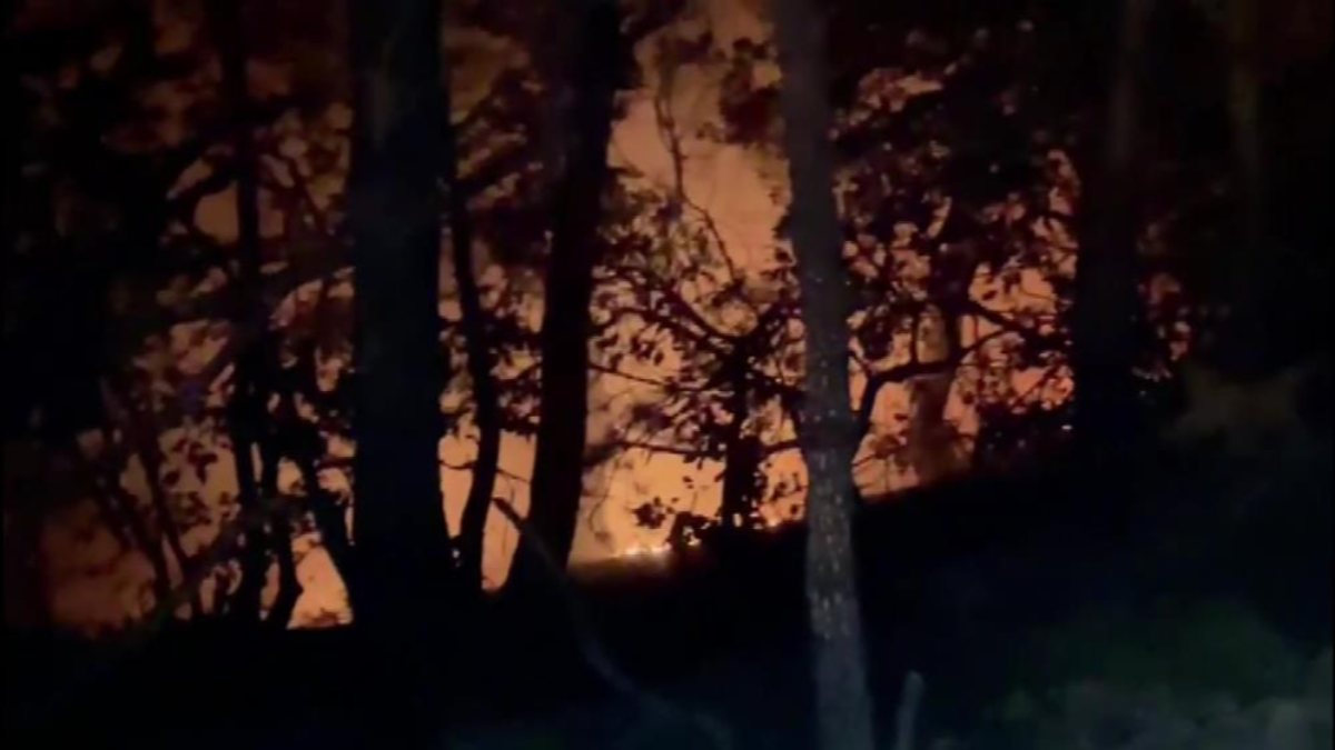 Bursa'da yıldırım düşen ormanda yangın çıktı