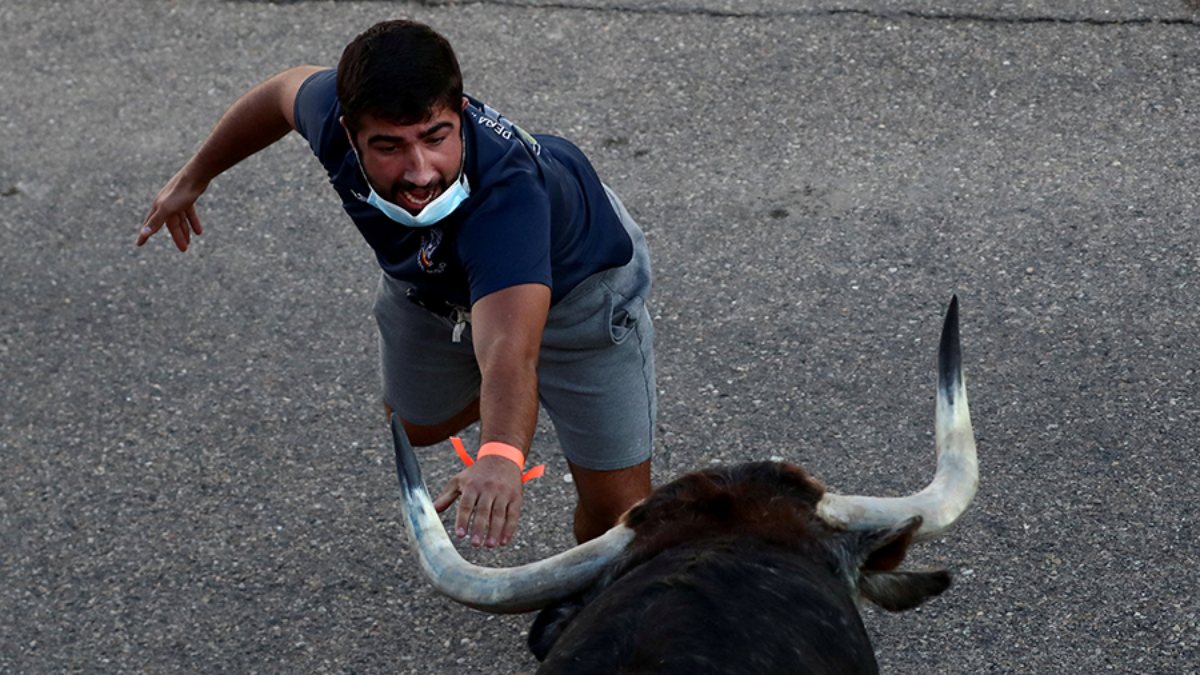İspanya'da pandemiden bu yana ilk boğa koşusu festivali yapıldı