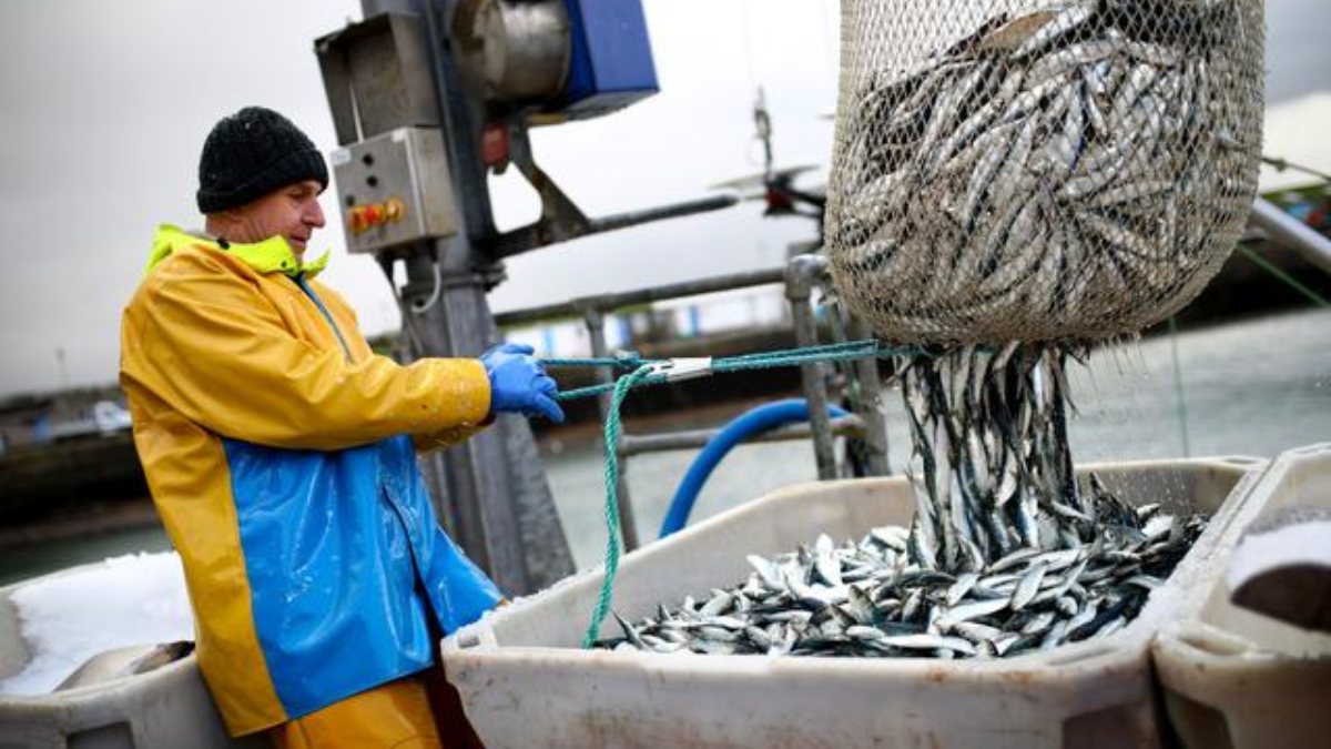 Fransa'ya İngiltere ile balıkçılık geriliminde 10 ülkeden destek