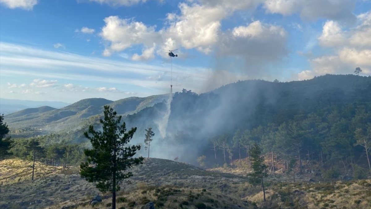 Edremit'te orman yangını çıktı
