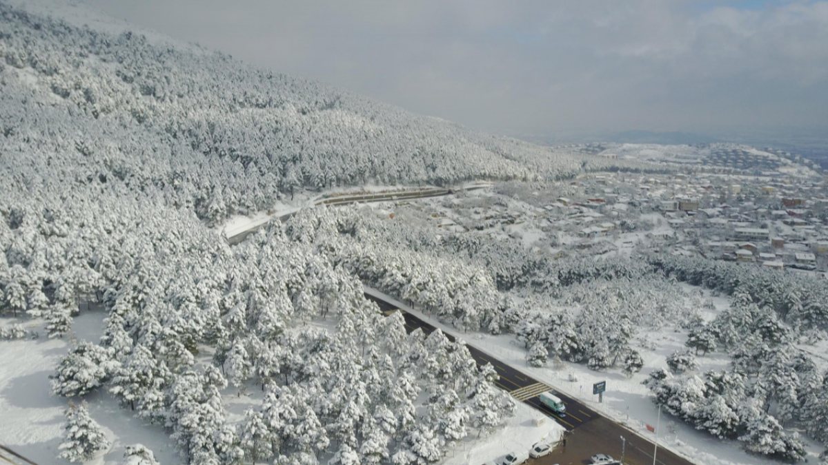 Kartal'daki Aydos Ormanı karla kaplandı