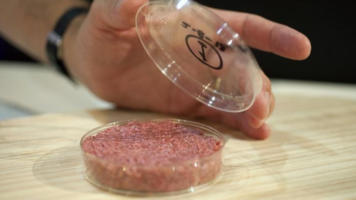 Netherlands pushed the button for artificial meat consumption