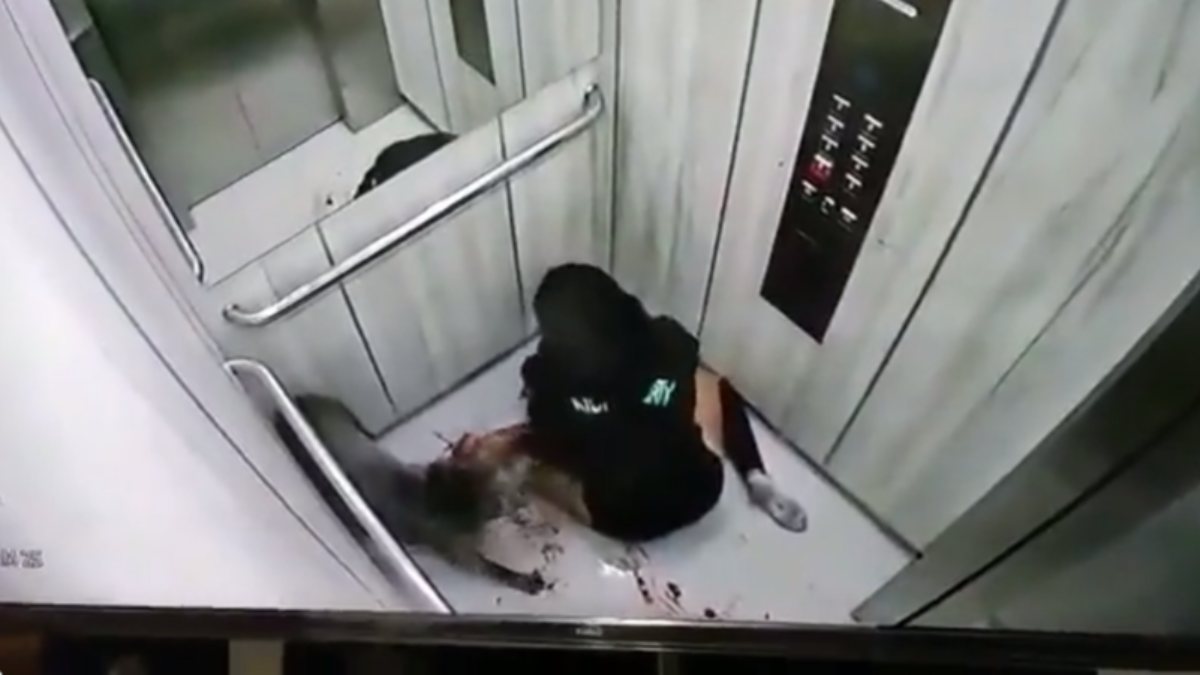 Colombian woman attacked by pitbull in elevator