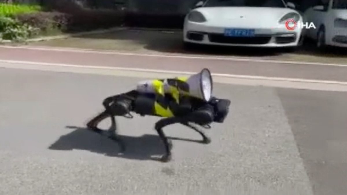 Robot dog walks the streets of China