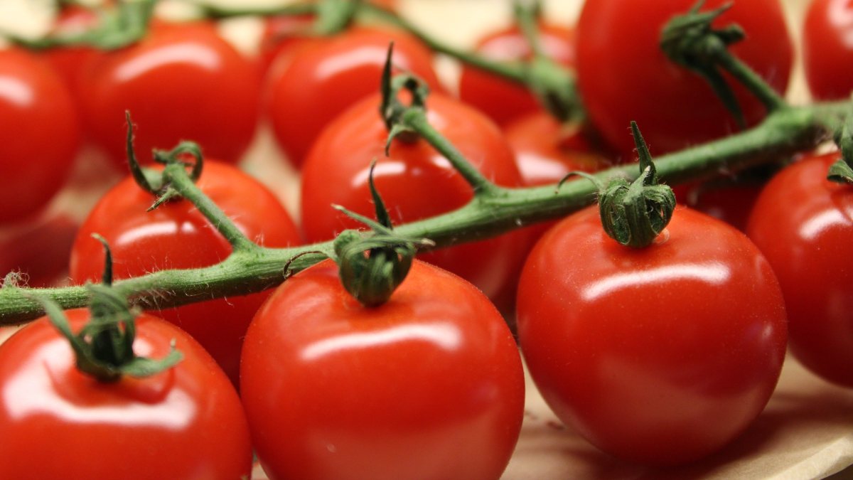 yüksek tansiyona karşı domates