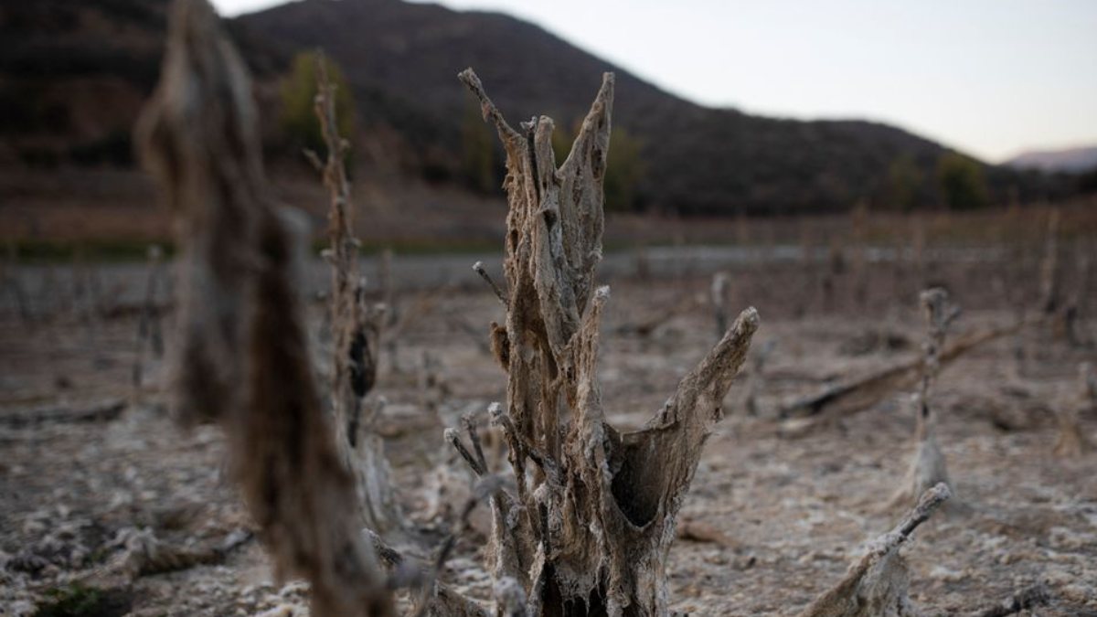 Precaution against drought in Chile: Water will be rationed