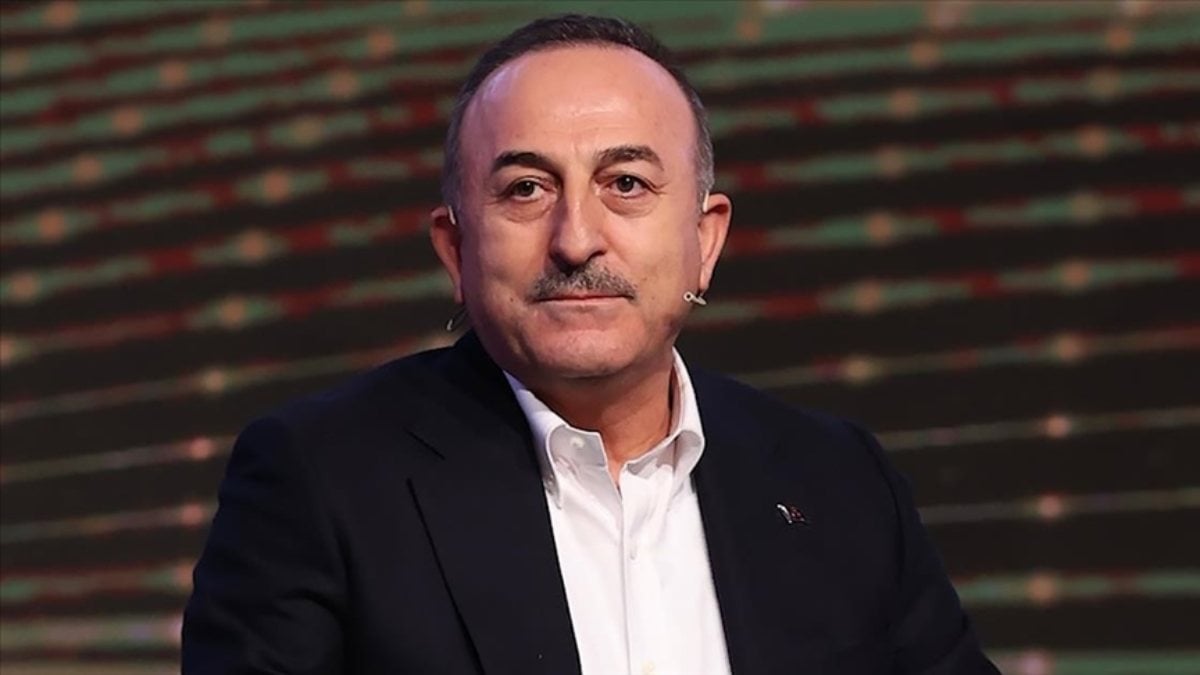 Foreign Minister Mevlüt Çavuşoğlu gave the Gray Wolf sign to the Armenian protesters.