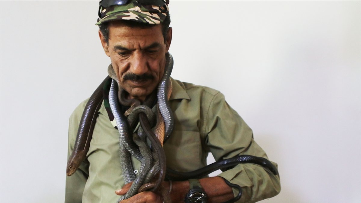 Jordanian snake lover man
