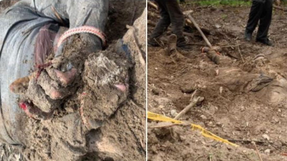 Elleri bağlanarak gömülen 2 Ukraynalının fotoğrafı paylaşıldı 