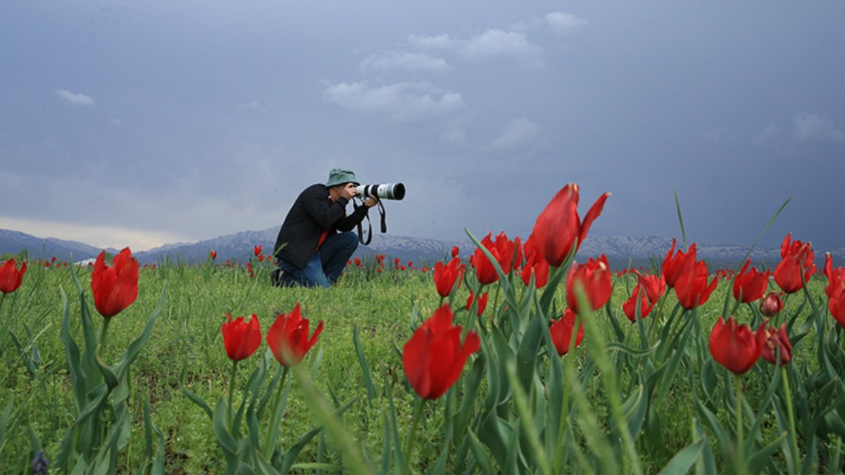 Bingöl Ovası'ndaki Çır Şelalesi ve çiçekler, doğaseverleri karşılıyor
