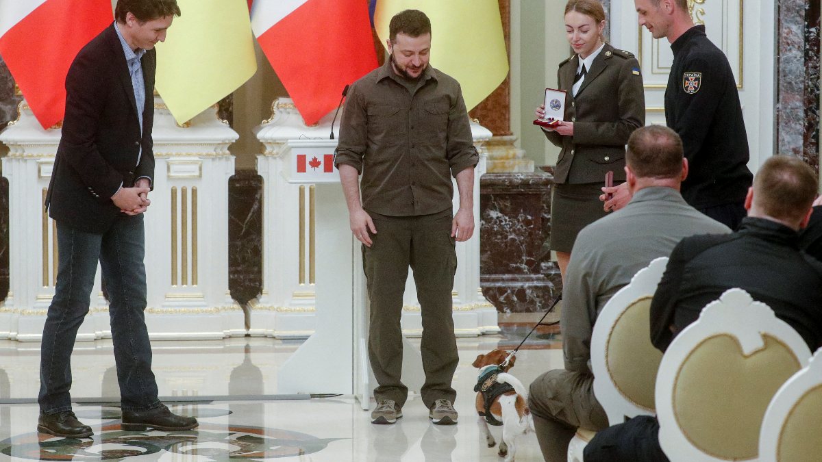 Vladimir Zelensky awarded the dog who detected the mines with the state medal