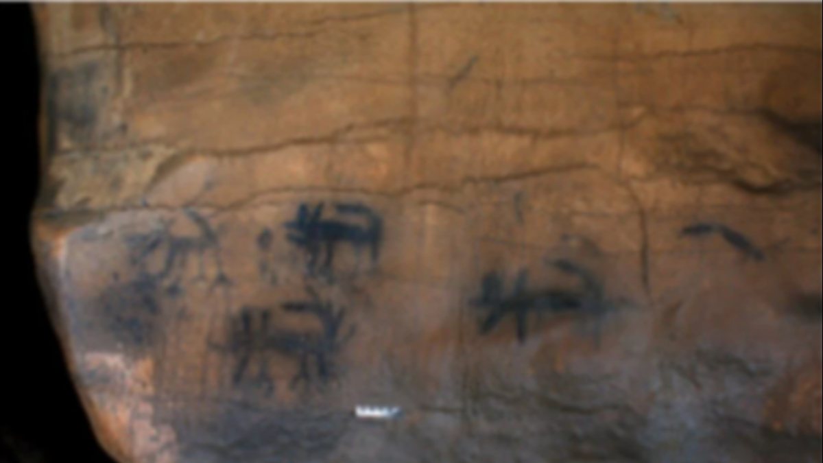 1,000-year-old cave drawings of Indians found in the USA
