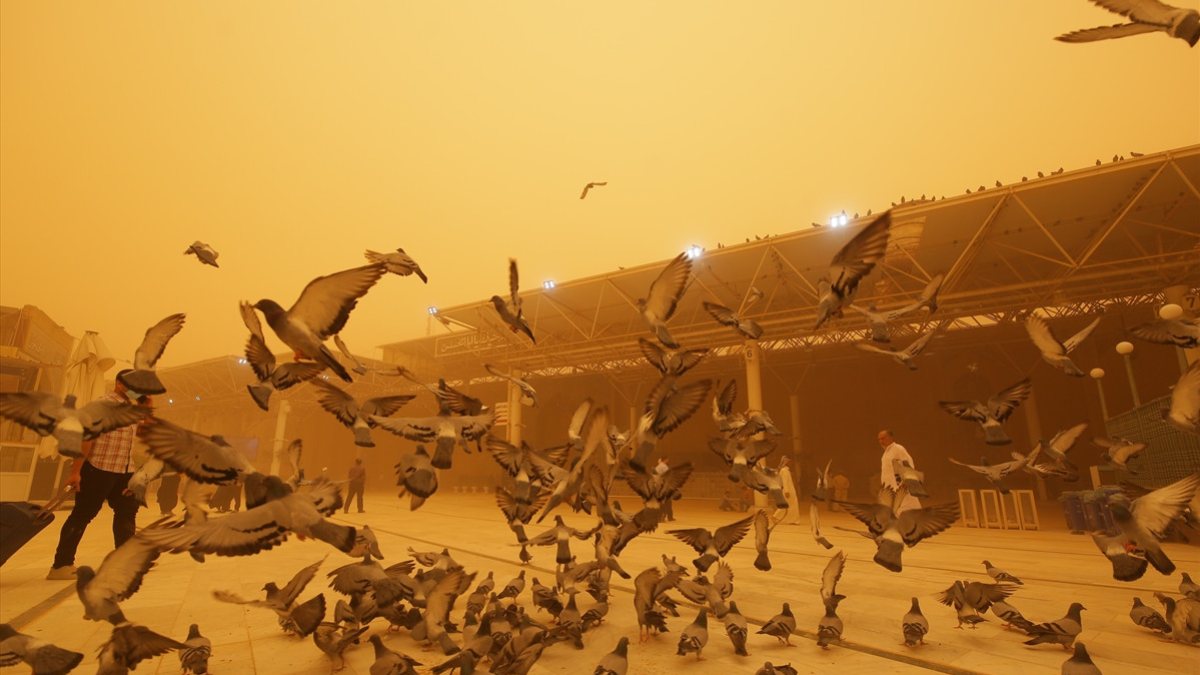 Sandstorm in Iraq: Public holiday declared across the country