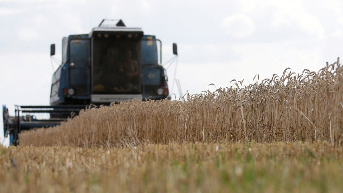 Solution proposal from Russia to grain crisis: Lift sanctions