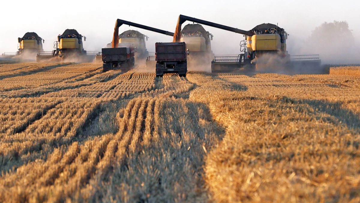 Kremlin: Western countries are guilty of grain shipments