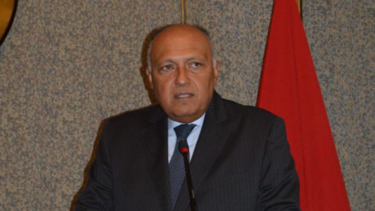 Egyptian Foreign Minister Shukri met with his Greek Cypriot counterpart Kasoulides