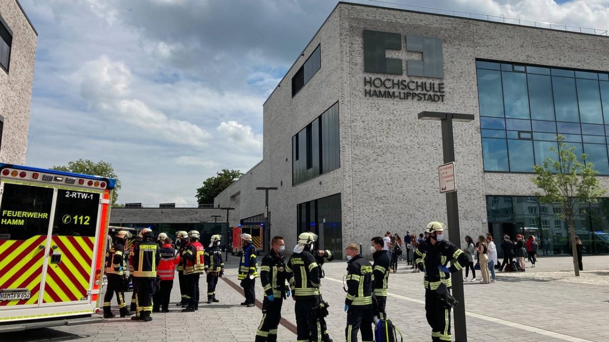 Knife attack at university in Germany: 4 injured