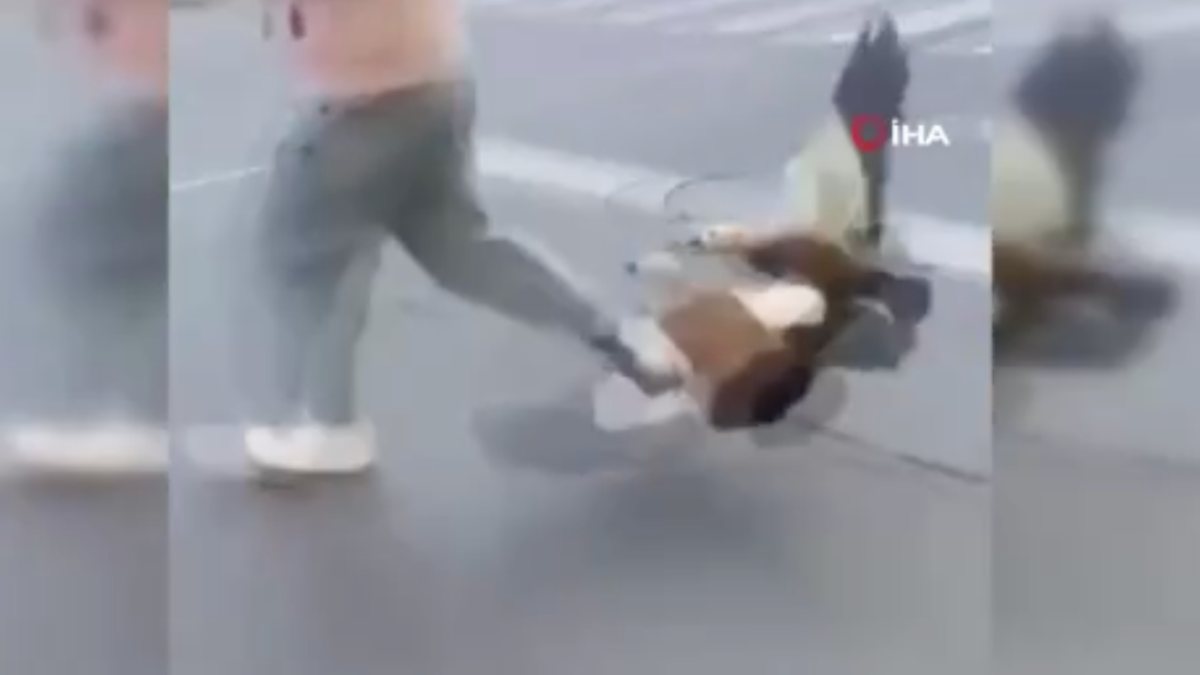 Teenager chased by ducks in Russia on camera